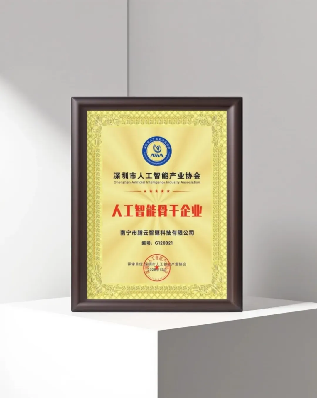 腾云智算荣获深圳市人工智能产业协会“2025人工智能骨干企业”奖项